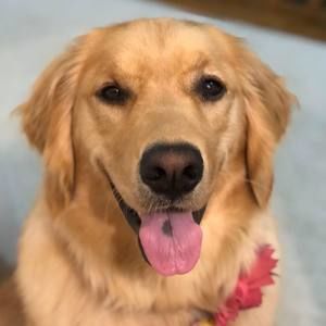 Meet your Posher, Candy